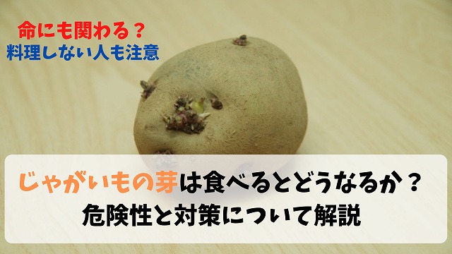 食中毒 じゃがいもの芽は食べるとどうなるか 危険性と対策について解説 なおのひとまなびブログ 食中毒 じゃがいもの芽は食べるとどうなるか 危険性と対策について解説 なおのひとまなびブログ